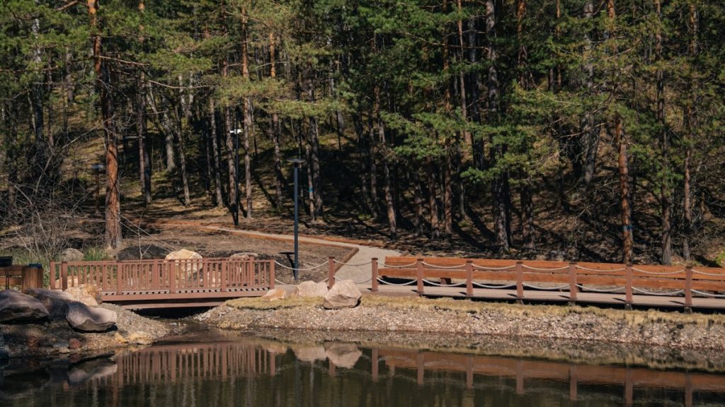 A wooden bridge and boardwalk are seen by a lake